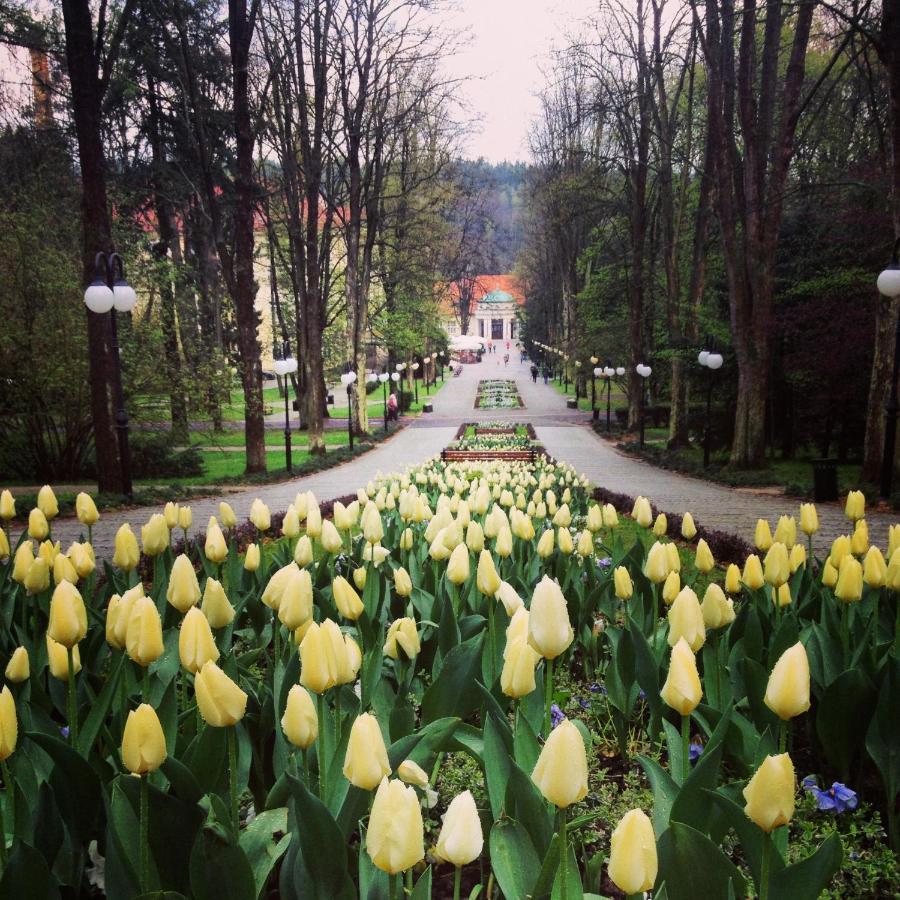 Villa Filmowiec Polanica-Zdrój Extérieur photo